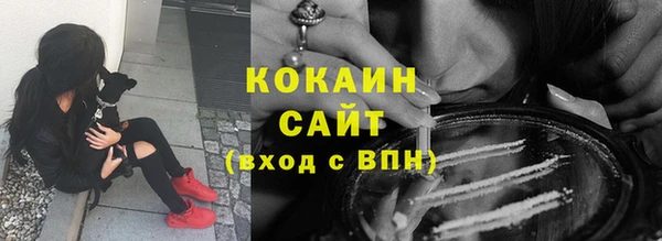 дживик Богданович