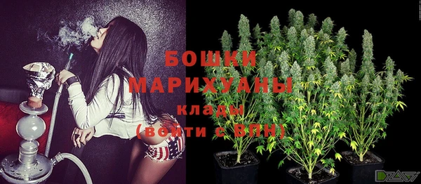 дживик Богданович