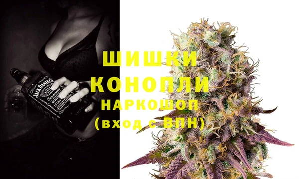 дживик Богданович