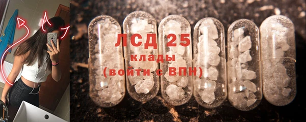 дживик Богданович